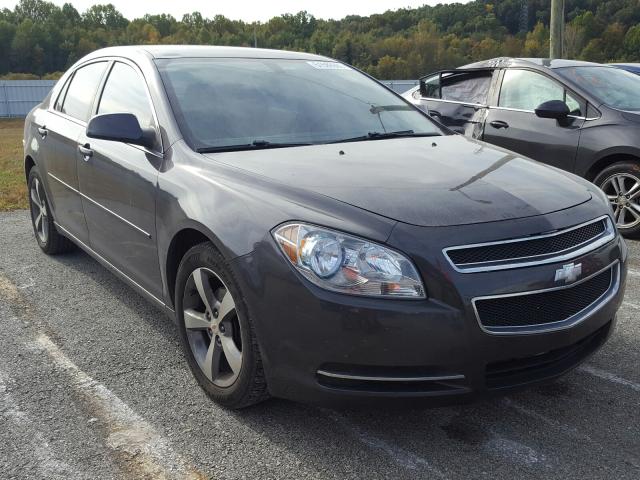 CHEVROLET MALIBU 2011 1g1zc5e19bf248351