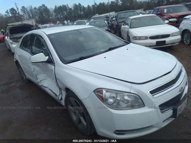 CHEVROLET MALIBU 2011 1g1zc5e19bf250875