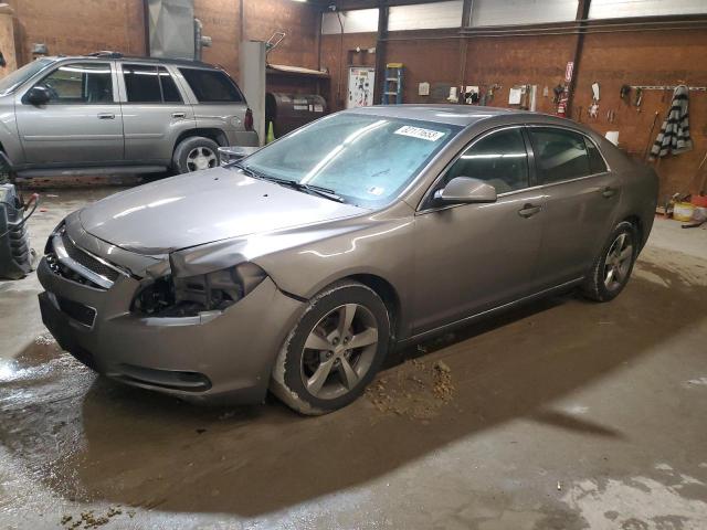 CHEVROLET MALIBU 2011 1g1zc5e19bf304871