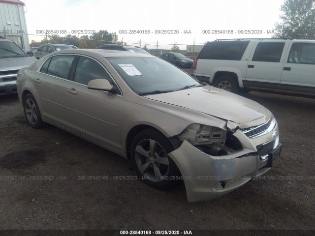 CHEVROLET MALIBU 2011 1g1zc5e19bf307110