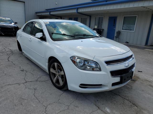 CHEVROLET MALIBU 2011 1g1zc5e19bf374063