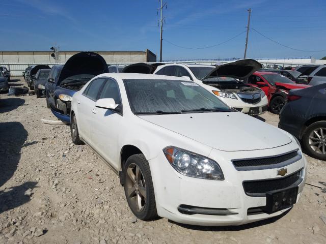 CHEVROLET MALIBU 1LT 2011 1g1zc5e19bf381403