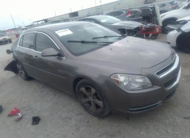 CHEVROLET MALIBU 2011 1g1zc5e19bf384642