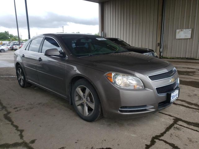 CHEVROLET MALIBU 1LT 2011 1g1zc5e19bf396077