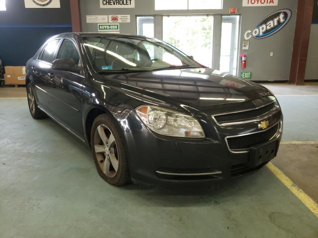 CHEVROLET MALIBU 1LT 2011 1g1zc5e19bf396435