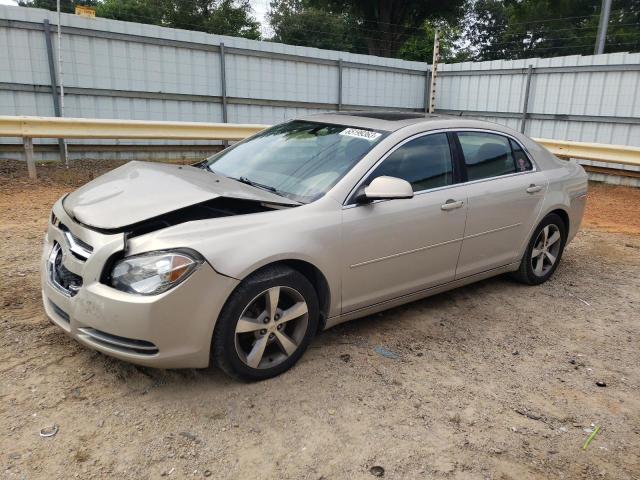 CHEVROLET MALIBU 2011 1g1zc5e19bf398136