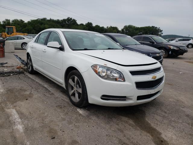 CHEVROLET MALIBU 1LT 2011 1g1zc5e1xbf102833