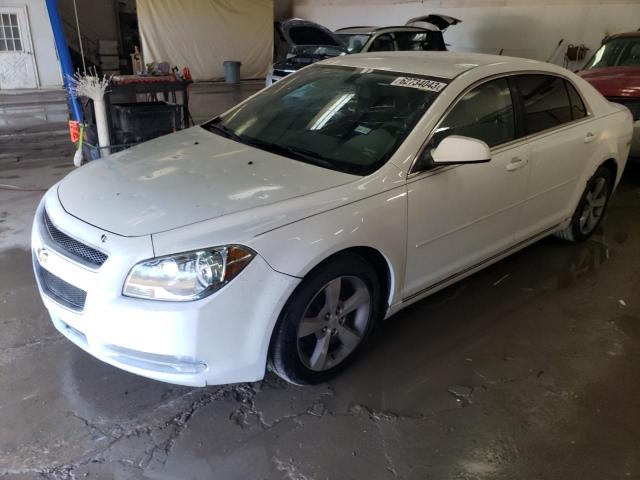 CHEVROLET MALIBU 2011 1g1zc5e1xbf111239