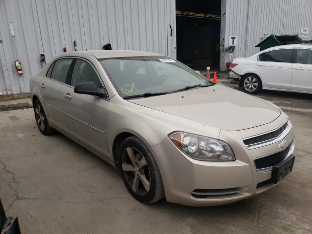 CHEVROLET MALIBU 2011 1g1zc5e1xbf116375