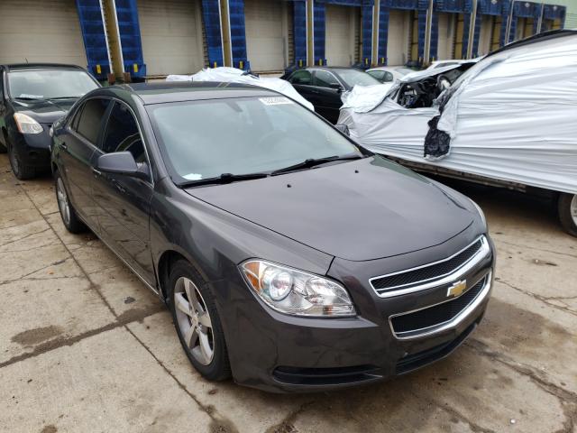 CHEVROLET MALIBU 1LT 2011 1g1zc5e1xbf127263