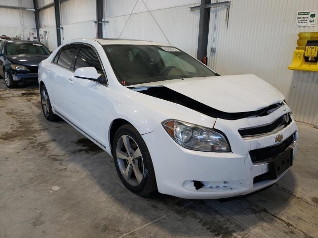 CHEVROLET MALIBU 1LT 2011 1g1zc5e1xbf136917