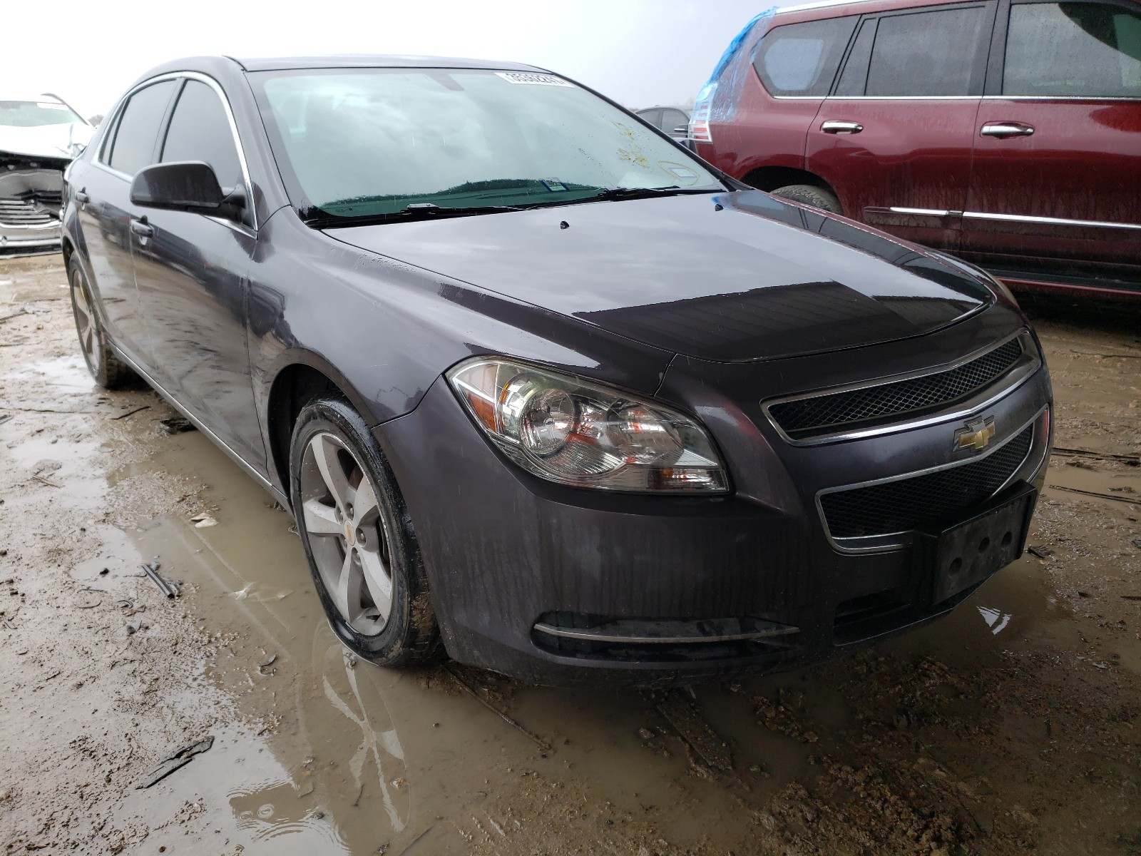 CHEVROLET MALIBU 1LT 2011 1g1zc5e1xbf138408