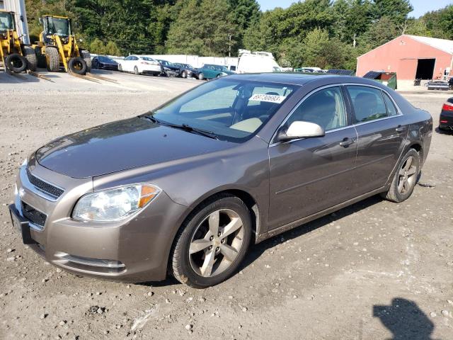 CHEVROLET MALIBU 1LT 2011 1g1zc5e1xbf141860