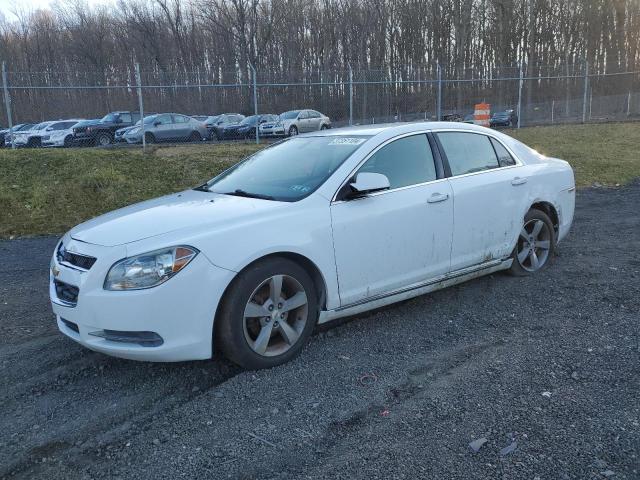 CHEVROLET MALIBU 2011 1g1zc5e1xbf145293