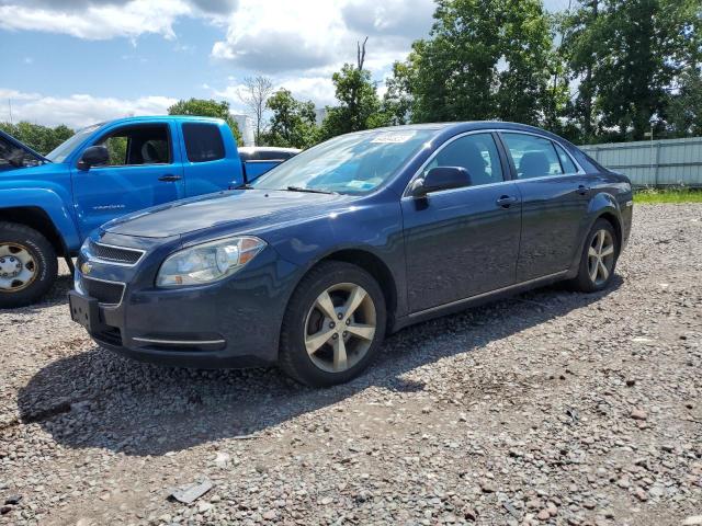 CHEVROLET MALIBU 1LT 2011 1g1zc5e1xbf148839