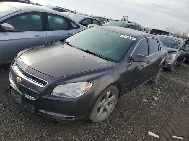 CHEVROLET MALIBU 2011 1g1zc5e1xbf179511