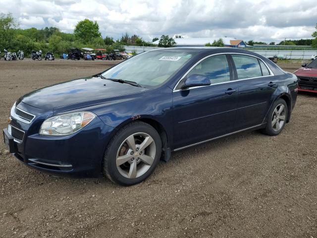 CHEVROLET MALIBU 1LT 2011 1g1zc5e1xbf184966