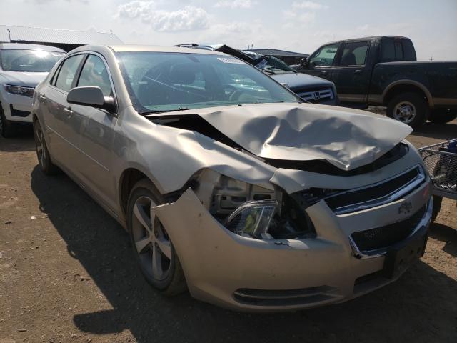 CHEVROLET MALIBU 1LT 2011 1g1zc5e1xbf192839