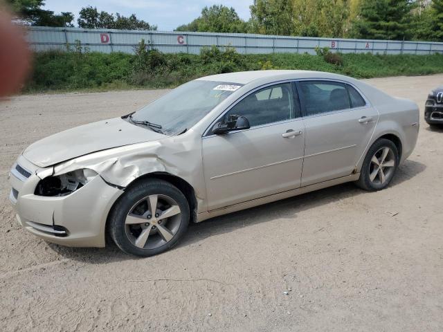 CHEVROLET MALIBU 1LT 2011 1g1zc5e1xbf209638