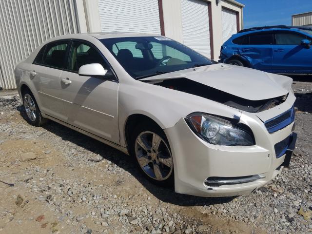 CHEVROLET MALIBU 1LT 2011 1g1zc5e1xbf230277