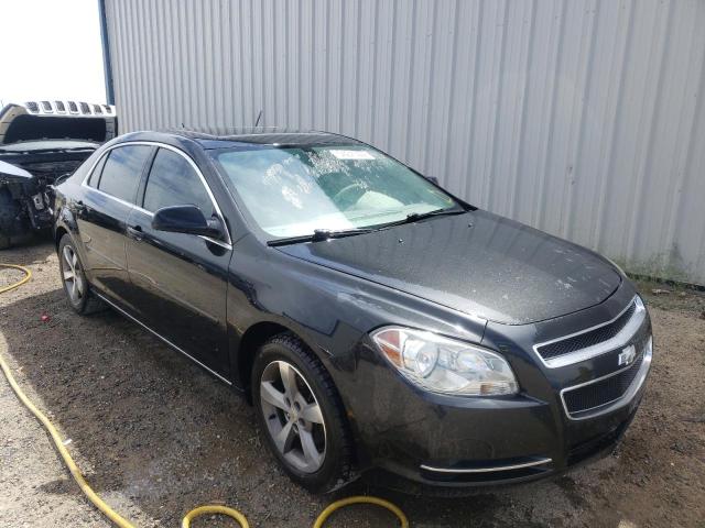 CHEVROLET MALIBU 1LT 2011 1g1zc5e1xbf249508