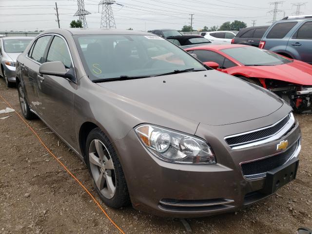 CHEVROLET MALIBU 1LT 2011 1g1zc5e1xbf262534