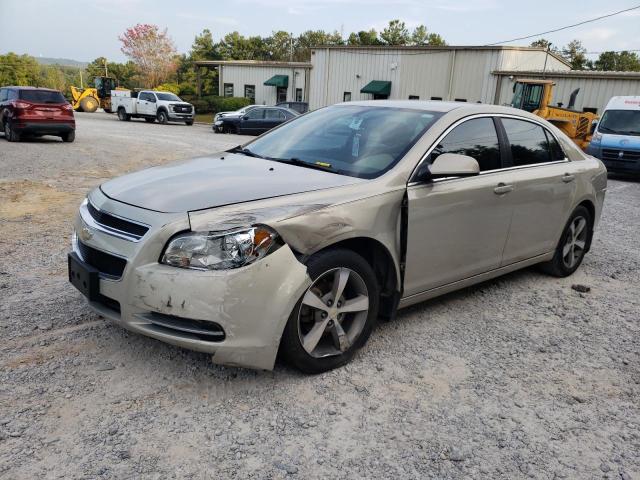 CHEVROLET MALIBU 1LT 2011 1g1zc5e1xbf262548