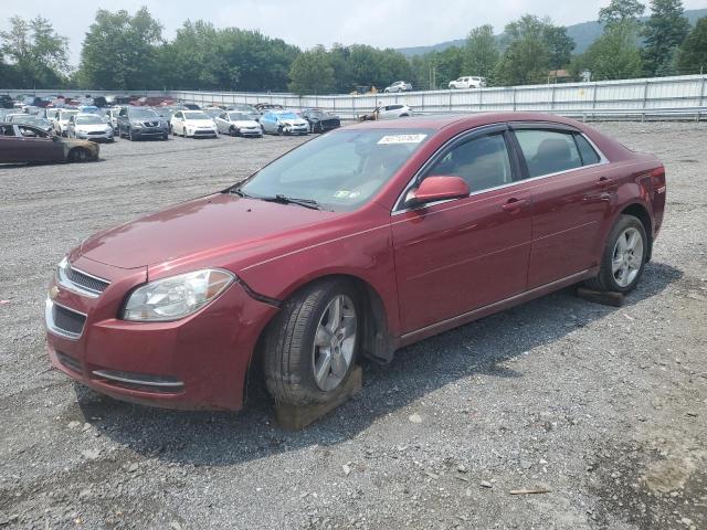 CHEVROLET MALIBU 1LT 2011 1g1zc5e1xbf299597