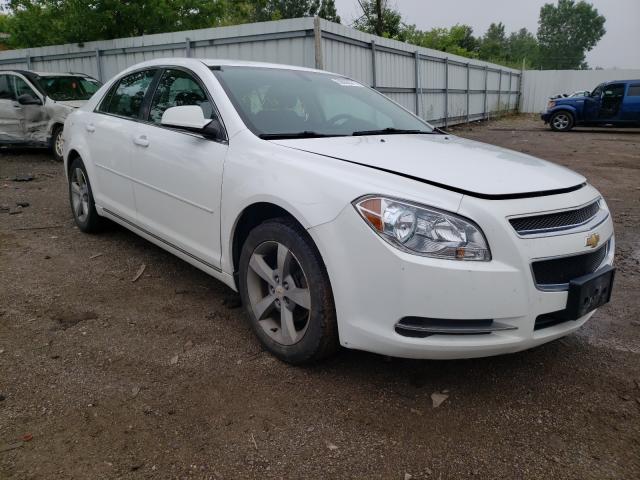 CHEVROLET MALIBU 1LT 2011 1g1zc5e1xbf306922