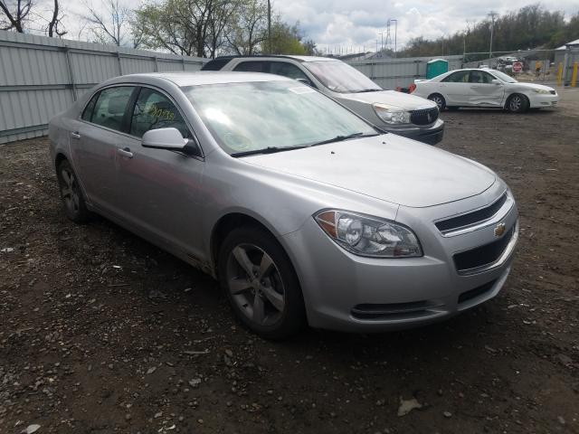 CHEVROLET MALIBU 1LT 2011 1g1zc5e1xbf311344