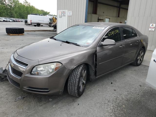 CHEVROLET MALIBU 1LT 2011 1g1zc5e1xbf312820