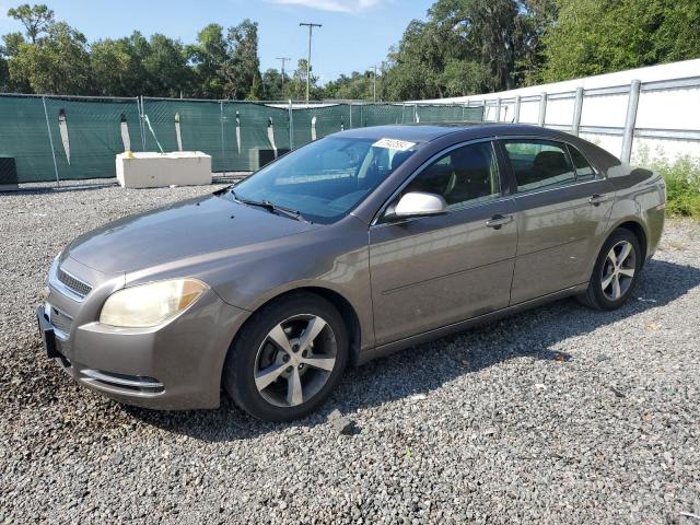 CHEVROLET MALIBU 1LT 2011 1g1zc5e1xbf317810