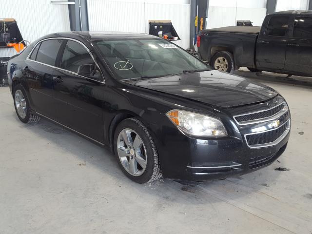 CHEVROLET MALIBU 1LT 2011 1g1zc5e1xbf366344