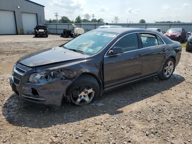 CHEVROLET MALIBU 1LT 2010 1g1zc5eb0a4115268