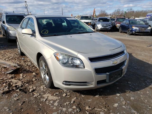 CHEVROLET MALIBU 2010 1g1zc5eb0af107417