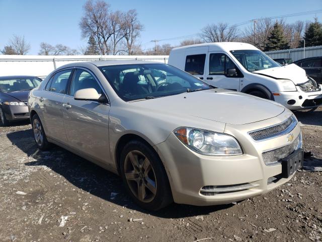 CHEVROLET MALIBU 1LT 2010 1g1zc5eb0af114271