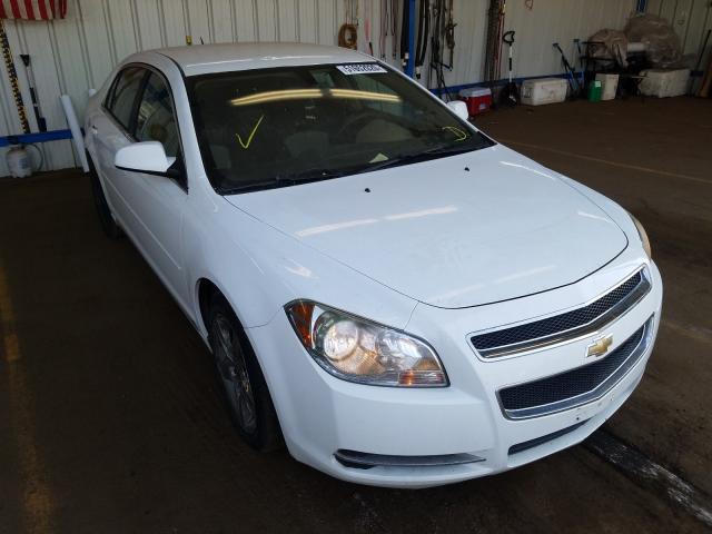 CHEVROLET MALIBU 2010 1g1zc5eb0af117493