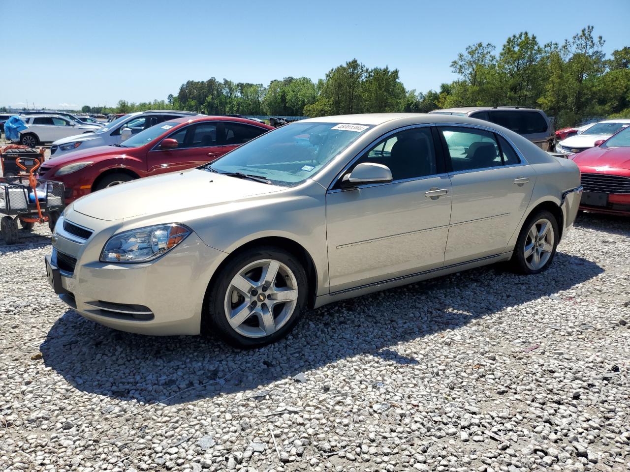 CHEVROLET MALIBU 2010 1g1zc5eb0af141597