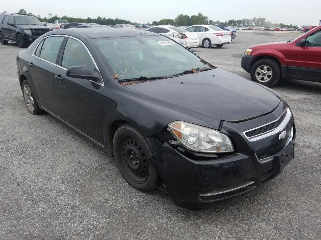 CHEVROLET MALIBU 1LT 2010 1g1zc5eb0af148730