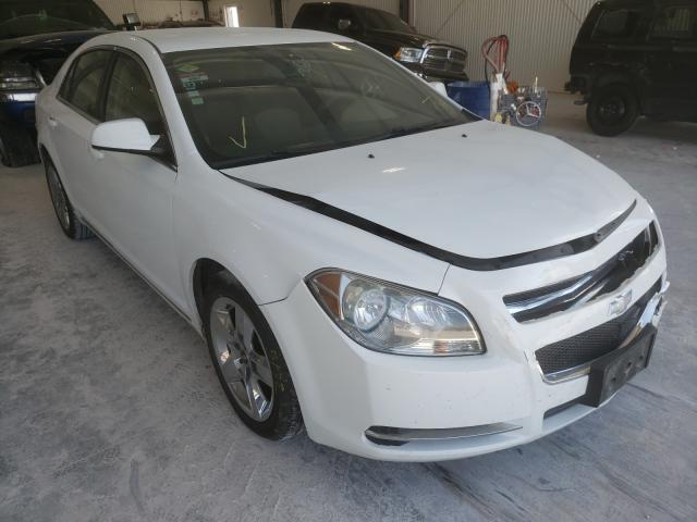 CHEVROLET MALIBU 1LT 2010 1g1zc5eb0af149361