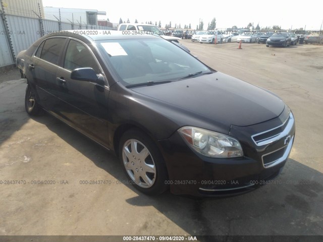 CHEVROLET MALIBU 2010 1g1zc5eb0af216430