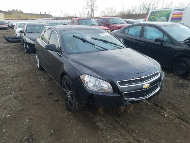 CHEVROLET MALIBU 1LT 2010 1g1zc5eb0af220171