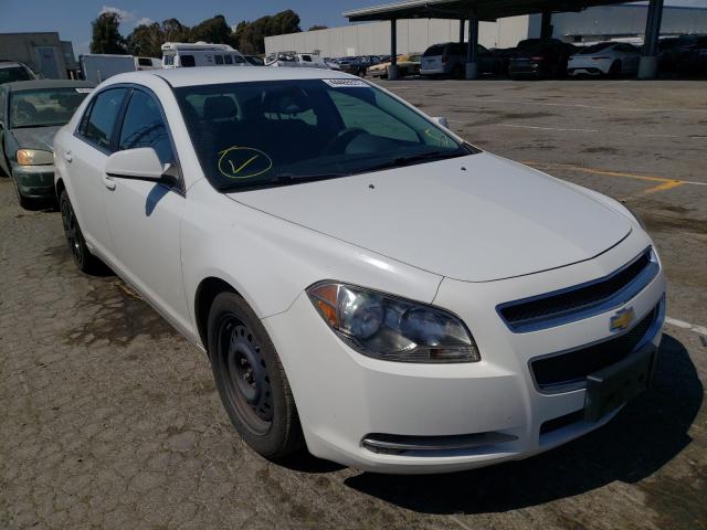 CHEVROLET MALIBU 1LT 2010 1g1zc5eb0af233955