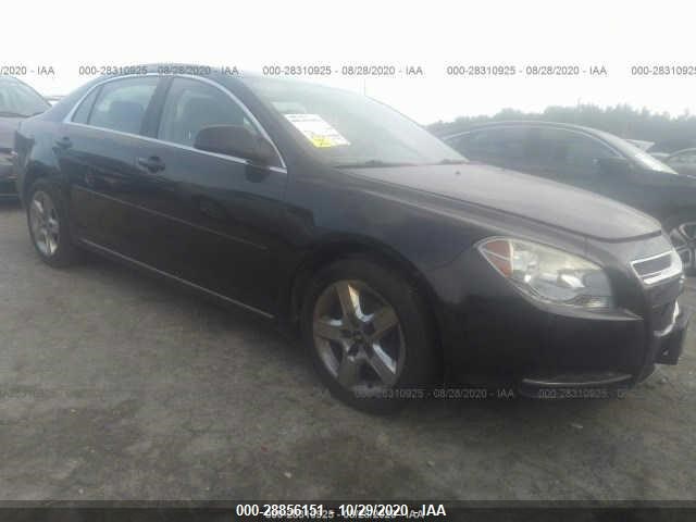 CHEVROLET MALIBU 2010 1g1zc5eb0af246544