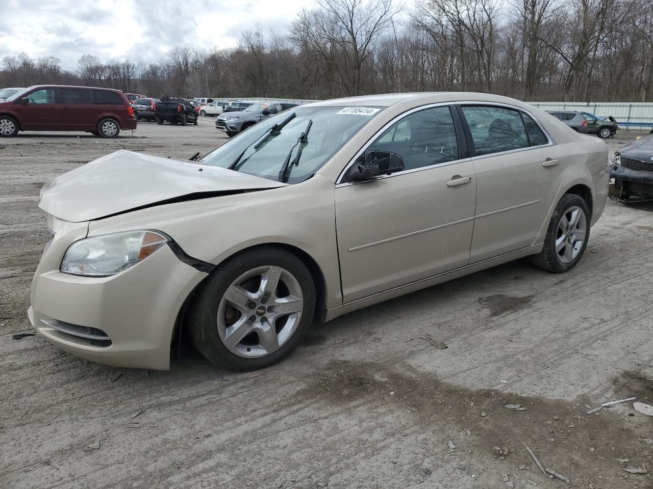 CHEVROLET MALIBU 2010 1g1zc5eb0af275137