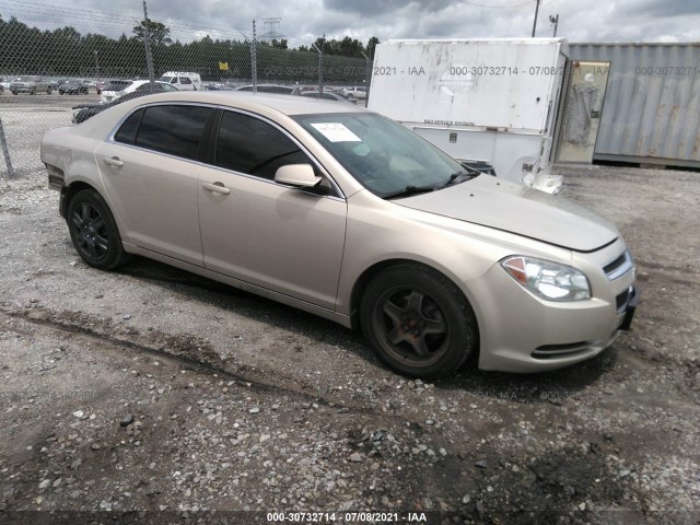 CHEVROLET MALIBU 2010 1g1zc5eb0af295145