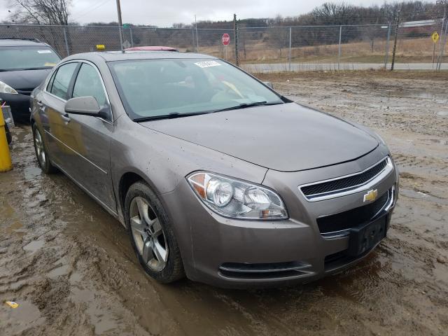 CHEVROLET MALIBU 1LT 2010 1g1zc5eb0af305432