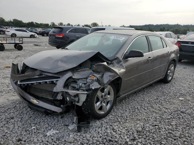 CHEVROLET MALIBU 1LT 2010 1g1zc5eb1a4120446