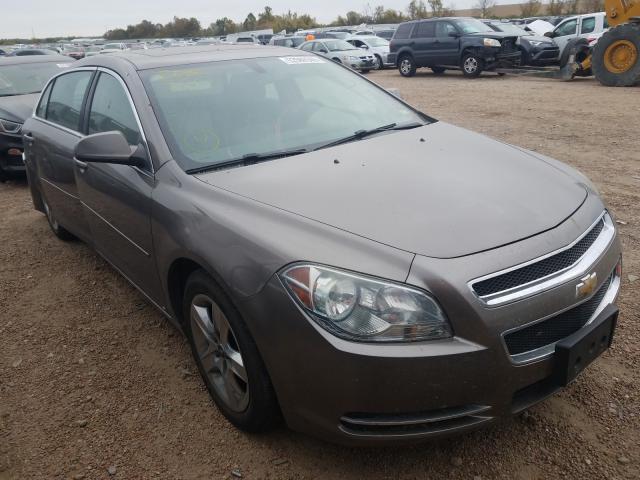 CHEVROLET MALIBU 1LT 2010 1g1zc5eb1af128051