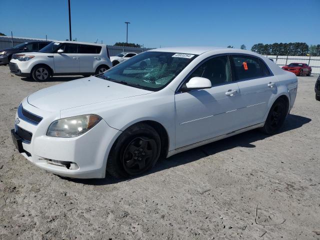 CHEVROLET MALIBU 2010 1g1zc5eb1af155685